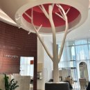 동산미용실 이미지