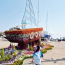 전곡항로50번길 이미지