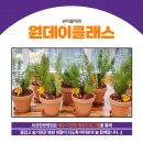 보금한방병원 이미지