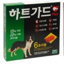 호매실역 약국 이미지
