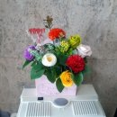 브니엘플라워 이미지