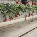 보성태권도장 이미지