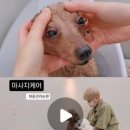 꼼꼼하개 이미지