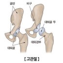 하나필라테스 네이버블로그