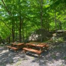 백운산 숲속의 아침 이미지