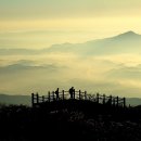 명상 이미지