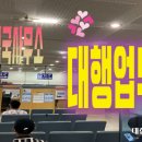 세계로행정사사무소 이미지