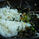 싱그랭이 이미지