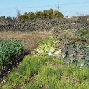 하가리사무소 이미지