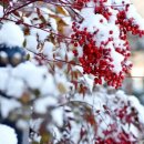 부서농장 이미지