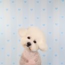 위드 더 독 이미지