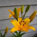 나리빛펜션 이미지