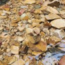 꿈꾸는 농부 오토캠핑장 | 대전 1박 2일 카라반 캠핑 추천 | 꿈꾸는 농부 캠핑장 이용 후기 &amp; 주변 가볼 만한 곳