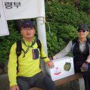 구정회가든 Daum카페