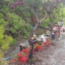 회룡대 별장펜션 이미지