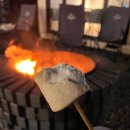 경주애견펜션 완벽했던 라라랜드