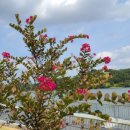 기순농장 이미지