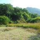 창암주유소 이미지