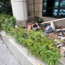 신한은행건물(신한은행금융센터) 이미지