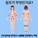 더 에스 짐 이미지