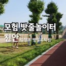 입장초등학교 병설유치원 이미지