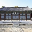 금성관광주 이미지