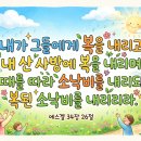 복된 장마비 - 7176 | 복된 장마비
