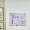 클린스쿨경기 네이버블로그