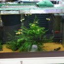 한서아쿠아 이미지