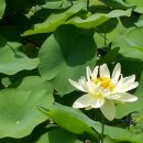 별빛산장 이미지