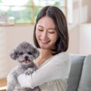 닥터힐스