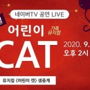어린이 CAT 이미지