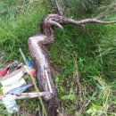 소나무정형외과의원 이미지