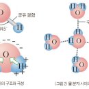 Re: 레닌저 생화학.. 물의 용매 특성은 생물체 진화의 근원 이미지