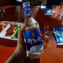 호텔네이버후드제주 | [제주 여행] 이호테우 해변 : DAY 1 / 제주도 여행 첫째날, 이호테우 해변에서 싱싱한 회에 한라산 소주...