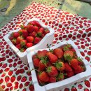 부래미 마을 이미지