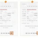 머리염색체험방 이미지