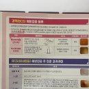 황신소아청소년과의원 이미지