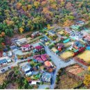 비아로45번길 이미지