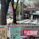 빈베이비 | 부산 베이비페어 후기 | 초산맘이 느낀 꿀팁, 유모차·카시트 비교, 사은품 총정리