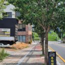 동대로(남) 이미지