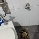 아산변기막힘전문 [아산싱크대막힘변기막힘하수구막힘 싹뚜러 신원설비]에서 흔들리는 변기 고쳤어요!