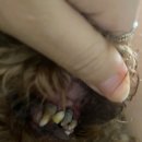 문산 동물병원 이미지