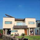 판판포포 이미지