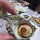 산해미활어회센타 네이버블로그