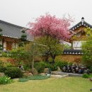 경주한옥마을 이미지