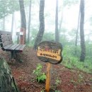 소똥령이야기 이미지