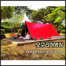 제주도 캠핑장 제주 모구리야영장 예약 아이랑 서귀포 캠핑 하기 좋은 곳 미리 답사