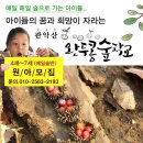 자연을벗삼아