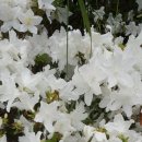 주상희행정사사무소 이미지